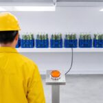 A single glowing buy button on a brass pedestal in front of a long shelf of identical crates