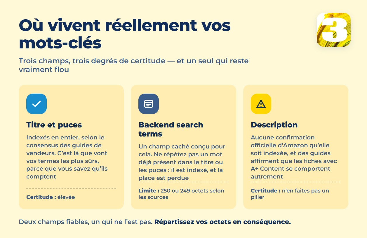 Infographie : titre et puces, backend search terms, description — quels champs sont indexés