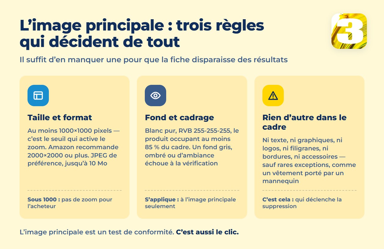 Infographie : taille et format, fond et cadrage, rien d’autre dans le cadre