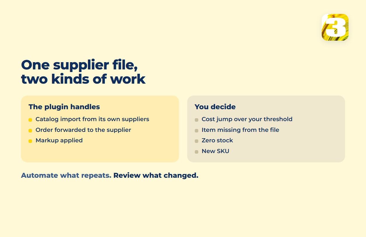 Schema: what a dropshipping plugin handles versus what you still decide